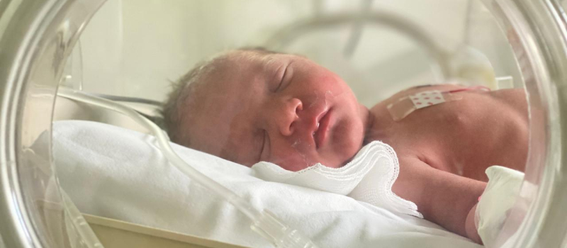 Gynecology – Obstetrics